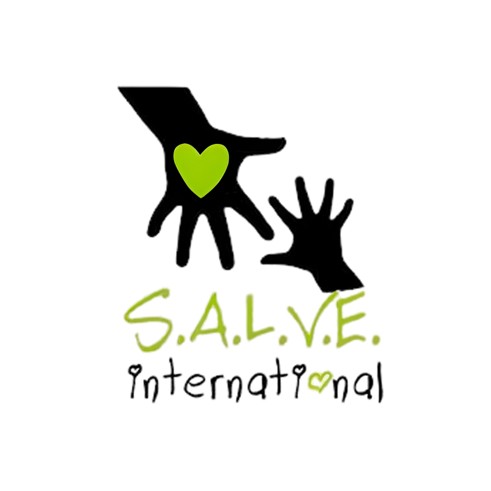 Salve International logo